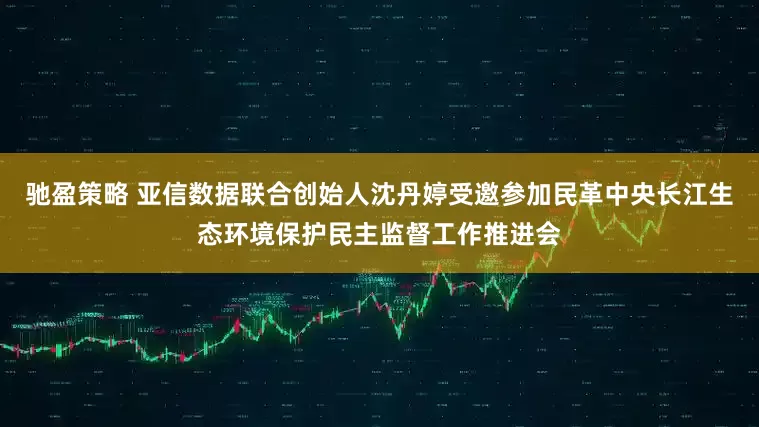 驰盈策略 亚信数据联合创始人沈丹婷受邀参加民革中央长江生态环境保护民主监督工作推进会