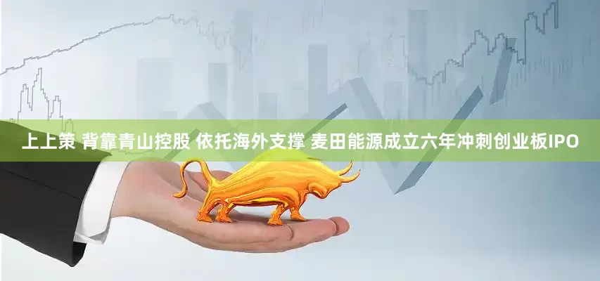 上上策 背靠青山控股 依托海外支撑 麦田能源成立六年冲刺创业板IPO