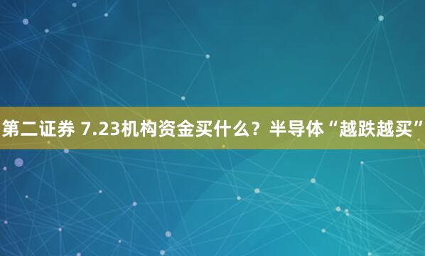 第二证券 7.23机构资金买什么？半导体“越跌越买”